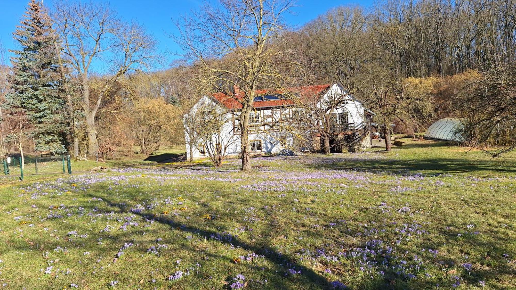 Ferienwohnung Obermuehle Ballstädt Cameră foto