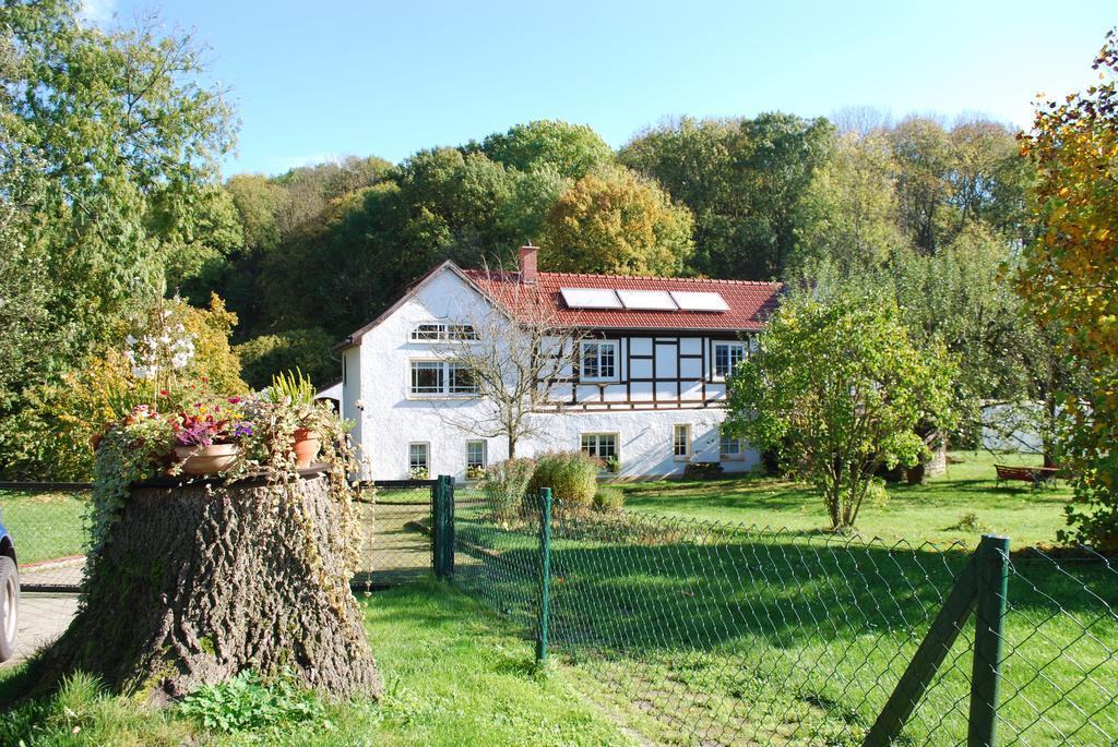 Ferienwohnung Obermuehle Ballstädt Cameră foto